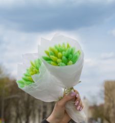 Весенняя зелень