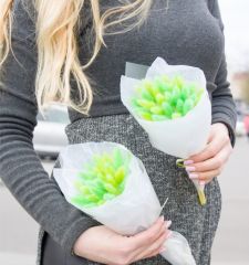 Весенняя зелень