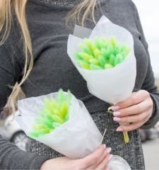 Весенняя зелень