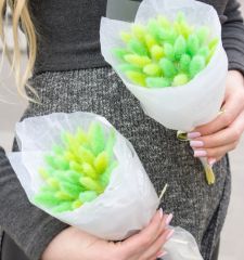 Весенняя зелень