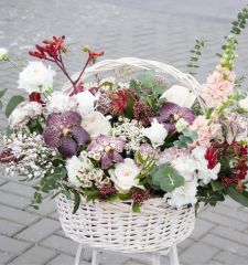 Сомелье