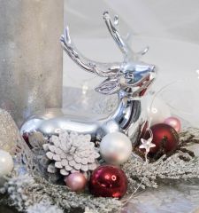 Королевство зимы