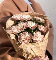 Брауни
