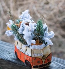 Полярный экспресс