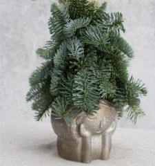 Загадай желание