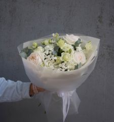 Прозрачное утро