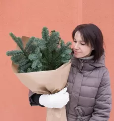 Банч Нобилис M