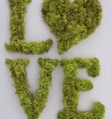 Картина - Love