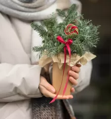 Зимний комплимент