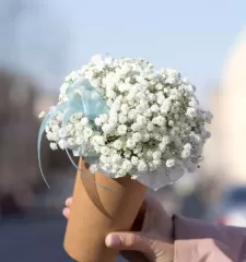 Воздушный зефир