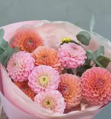 Медовый Август