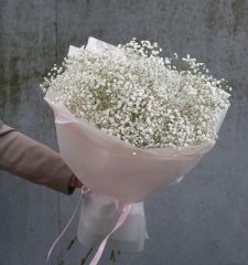 Легче облаков