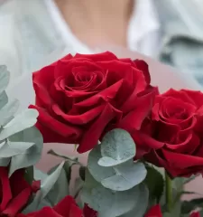 Французский бархат