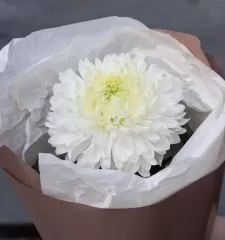 Магнум XS