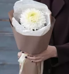 Магнум XS