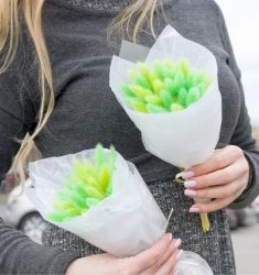 Весенняя зелень