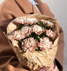 Брауни