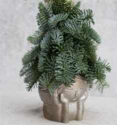 Загадай желание