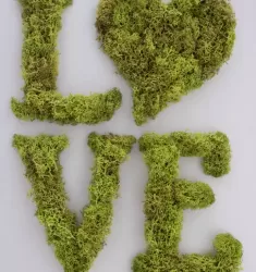 Картина - Love