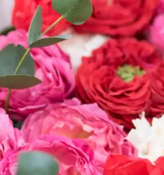 Страстный поцелуй M