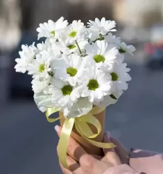 Простые радости