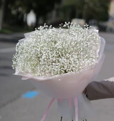 Легче облаков