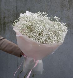 Легче облаков