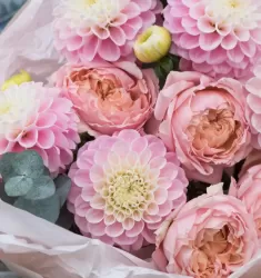 Кружевной август