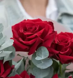 Французский бархат