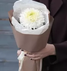 Магнум XS