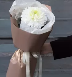 Магнум XS