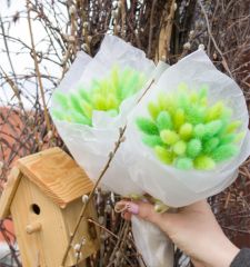 Весенняя зелень