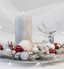 Королевство зимы