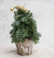 Загадай желание