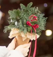 Зимний комплимент