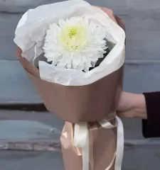 Магнум XS