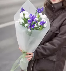 Элеганс М
