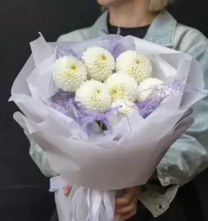 Зефир